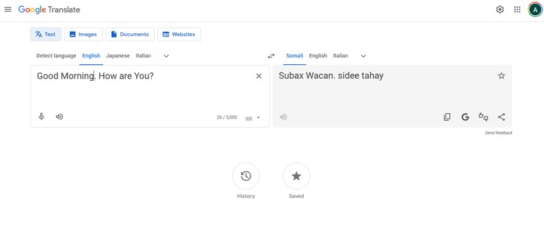 machine translate by google translate services