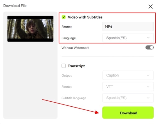 choose netflix translate downloading options