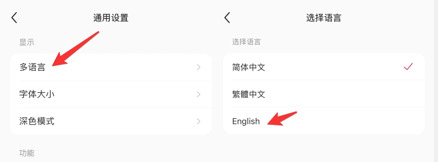 select english as language