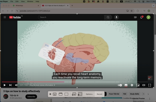 capture certain area using quicktime player