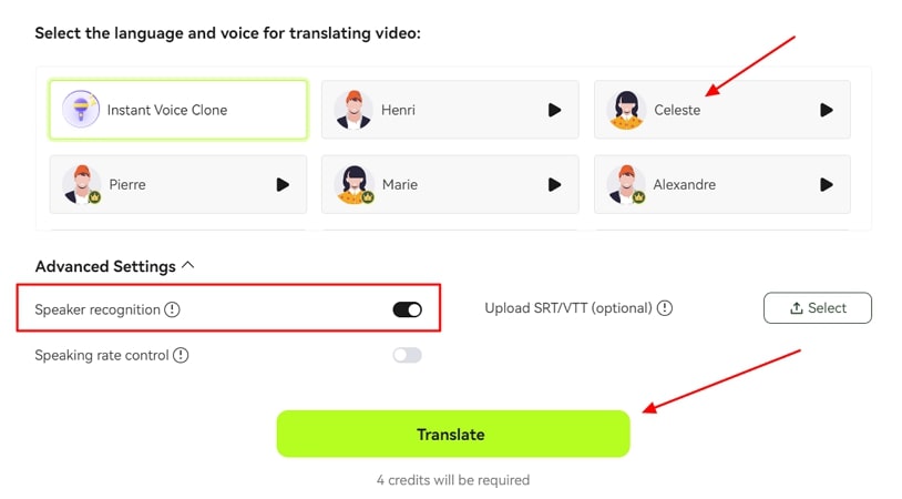 define translation settings and proceed