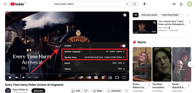 adjust youtube real time translation settings