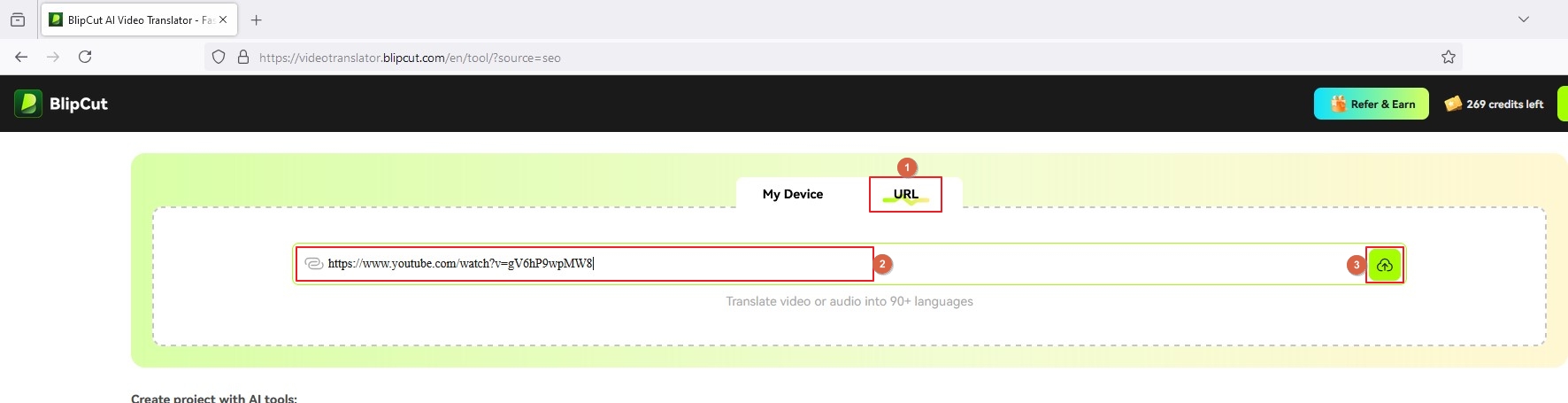 Pegue la URL del video y haga clic en cargar